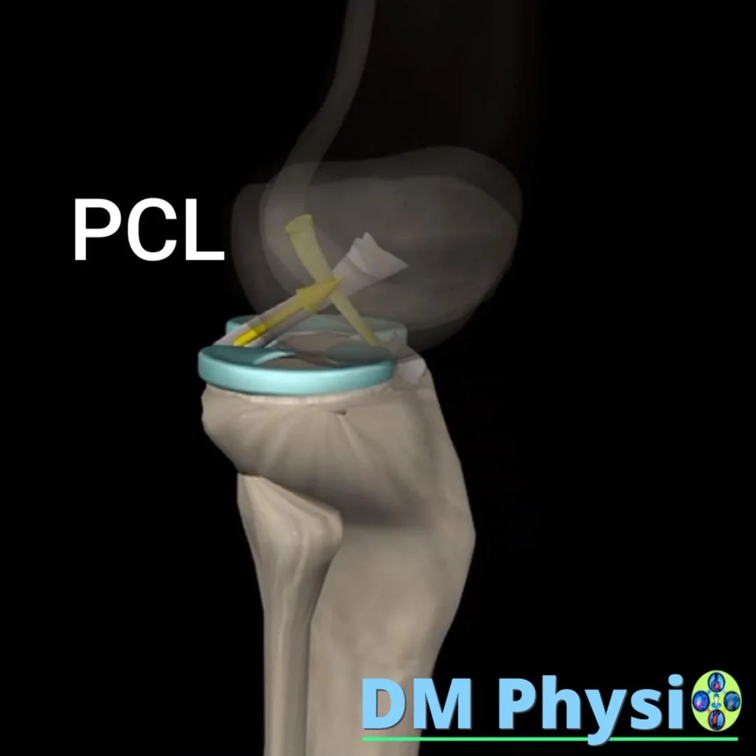 Как се къса PCL